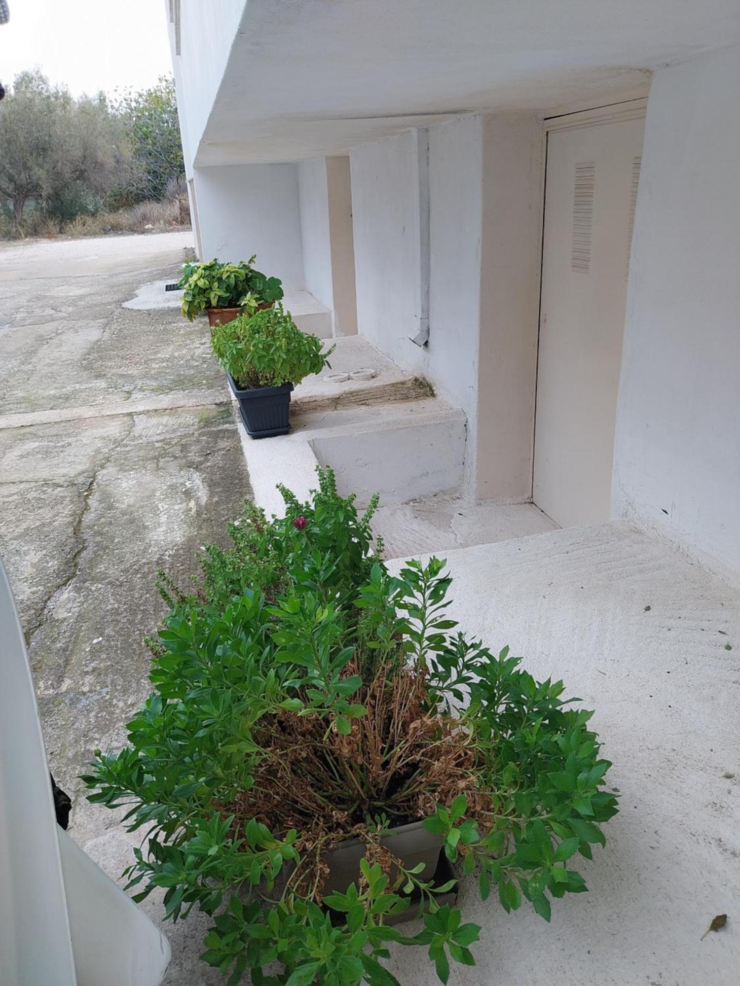 Nav Apart, Salamina Paloukia Exterior foto